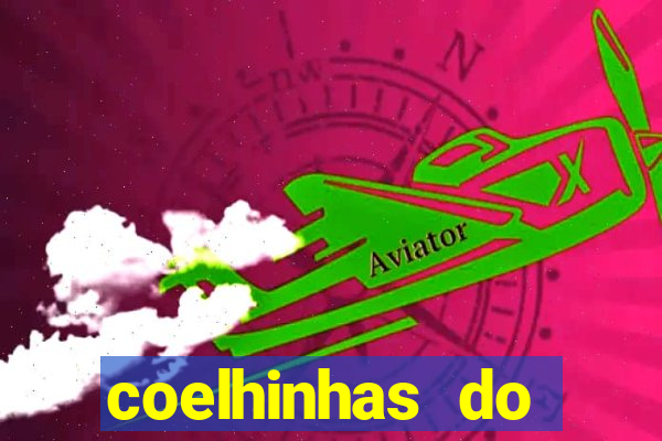 coelhinhas do brasil site